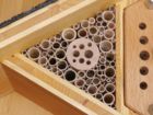 Insektenhotel Wildbienen Schilf Hartholz Nisthilfe Niströhre Mauerbiene Insektenschutz