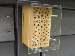 Insektenhotel Hartholz Naturschutz Wildbienen Artenschutz Nisthilfe
