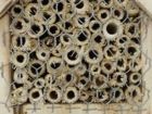 Insektenhotel Wildbienen  Nisthilfe Niströhre Schilf Bambus Mauerbiene Bienenhotel Insektenschutz