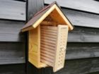 Nistkasten Niströhre Schilf Bambus Mauerbiene Bienenhotel Insektenschutz
