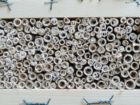 Insektenhotel Wildbienen Nistkasten Nisthilfe Niströhre Schilf Bambus Mauerbiene Bienenhotel Insektenschutz